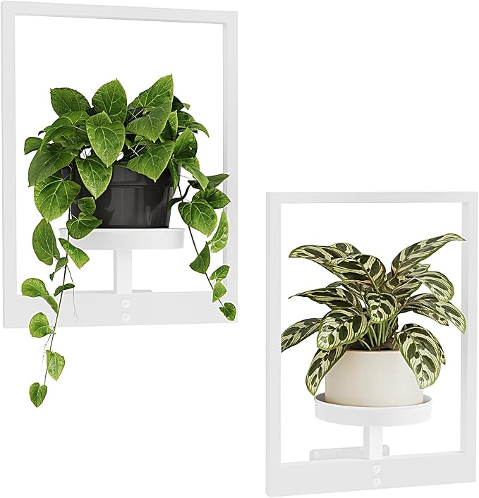 Bamworld Wall Plant Holder Plant Stand Indoor Wall Planters White | Wall Planters for Indoor Plants Window Plant Shelves Plant Holder Wall Decor, Room Decor 2 Pack (Patent Design)