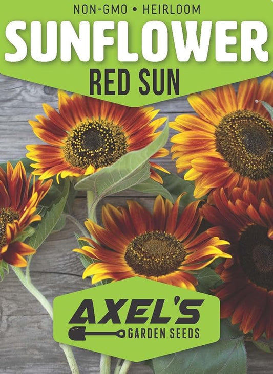 Seed Packets for Planting Red Sun Sunflowers in Home Outdoor Garden - Heirloom Non-GMO Flower Seed Packets
