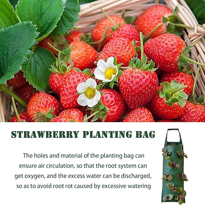 2024 Hanging Strawberry Planter - Upside-Down Patio Garden Tomato Grow Bags With Handle for Outdoor (3)