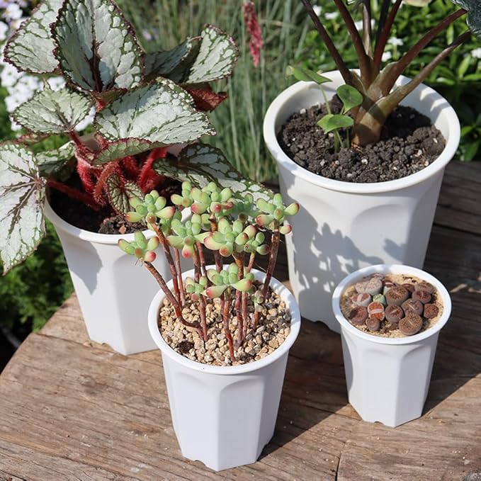 BangQiao 8 Pack 6.10 Inch White Plastic Deep Nursery Pot and Seedling Planter for Succulent, Cutting, Transplanting