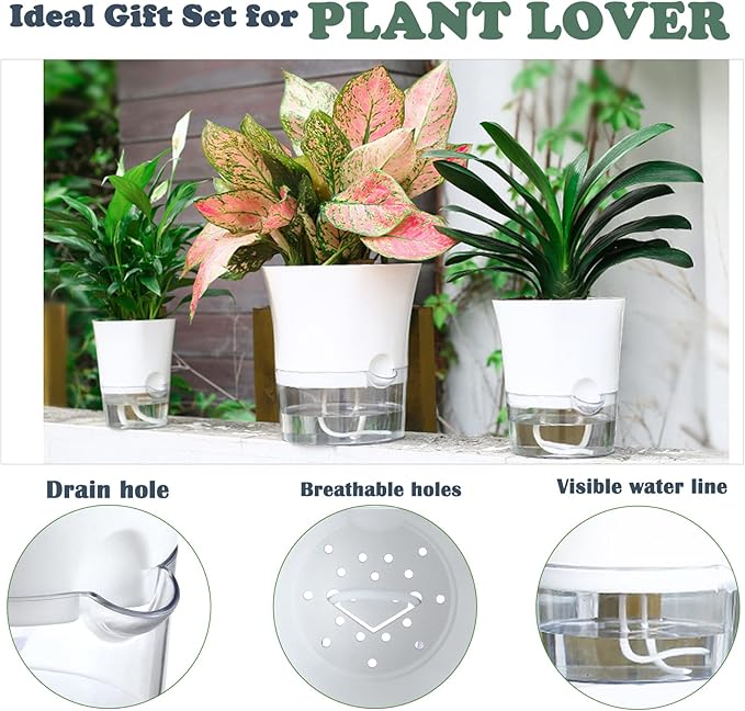 3-Pack 7.8" Clear Self Watering Pots for Indoor Plants Large Hexagon Self-Watering Planters Orchid Pots Plastic Wick Flower Plant Pots for African Violet, Spider, Herbs, Home Decor, White and Clear