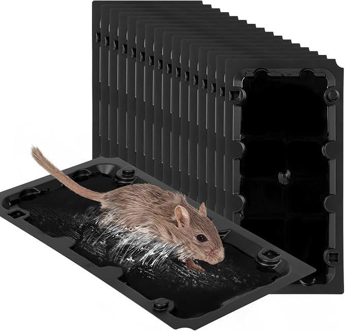 16 Pack Glue Sticky Mouse Trap Rat Traps Indoor for Home and Rats, Snake | Peanut Taste Pheromone, Large Size 10“*5"