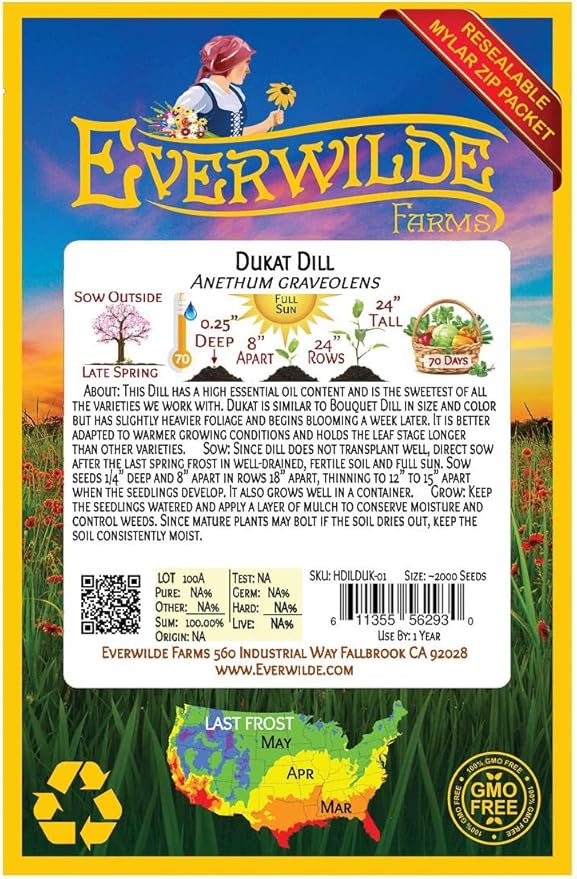 Everwilde Farms - 2000 Dukat Dill Herb Seeds - Gold Vault Jumbo Seed Packet