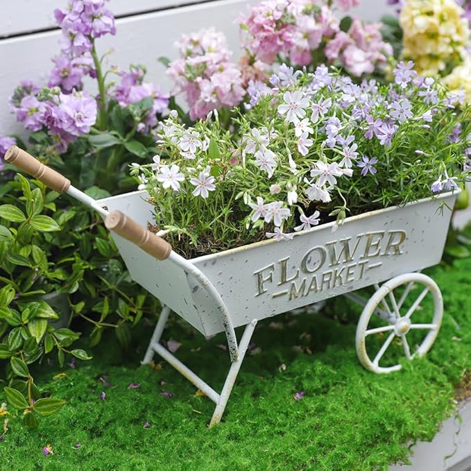 15 Inch Farmhouse Small Flower Cart with Wooden Handles Metal Wagon Planters for Outdoor Plants Decorative Wheelbarrow Plant Cart for Patio Garden Balcony Golden