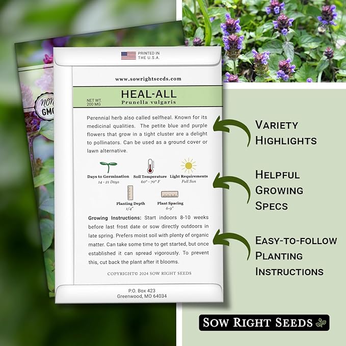 Sow Right Seeds - Heal-All Seeds for Planting - Self Heal Prunella Vulgaris - Non-GMO Heirloom Medicinal Herb - Grow Your Own Wildflower Garden - Attracts Pollinators - Easy to Grow in Gardens (2)