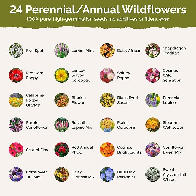 Eden Brothers West Virginia Wildflower Mixed Seeds for Planting, 1/4 lb, 120,000+ Seeds with Cornflower, Lupine | Attracts Pollinators, Plant in Spring or Fall, Zones