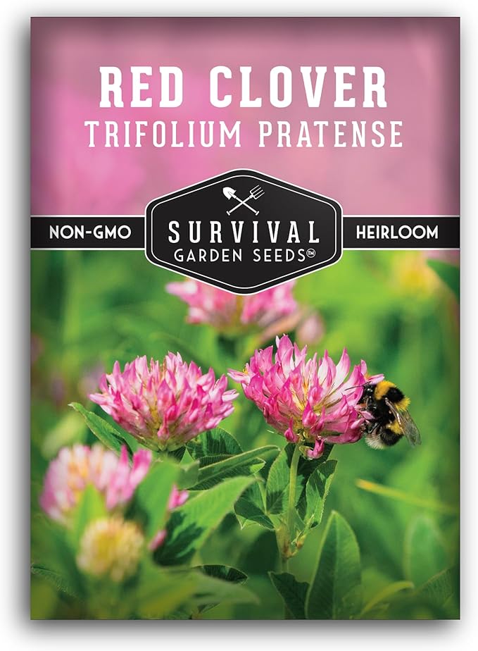 Red Clover Seeds for Planting – Nitrogen-Fixing Cover Crop & Ground Cover for Soil Building and Pollinators – Heirloom Non-GMO Medicinal Herb – Survival Garden Seeds (1 Pack)