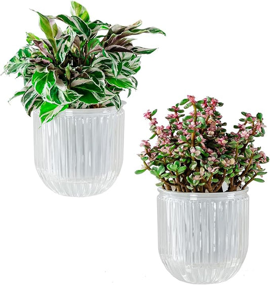 Melphoe Self Watering Pots for Indoor Plants Planter, 5.3 Inch 2 Pack Planters Self Watering Plant Pots for Flower, Houseplants, Succulent, African Violets and Cactus with Drainage