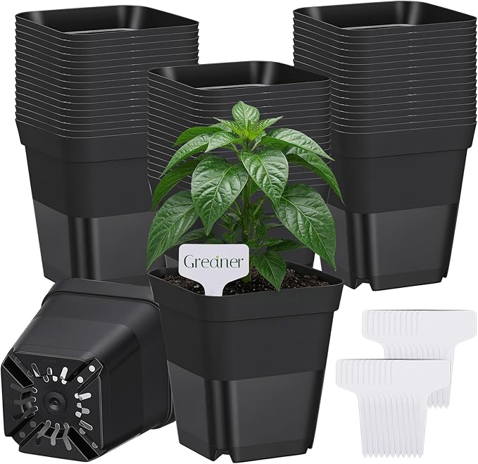 GREANER Small Plant Pots 4 Inch, 50PCS Black Nursery Pots for Plants with 20 Packs Labels, Durable Square Planters for Indoors and Outdoors Use