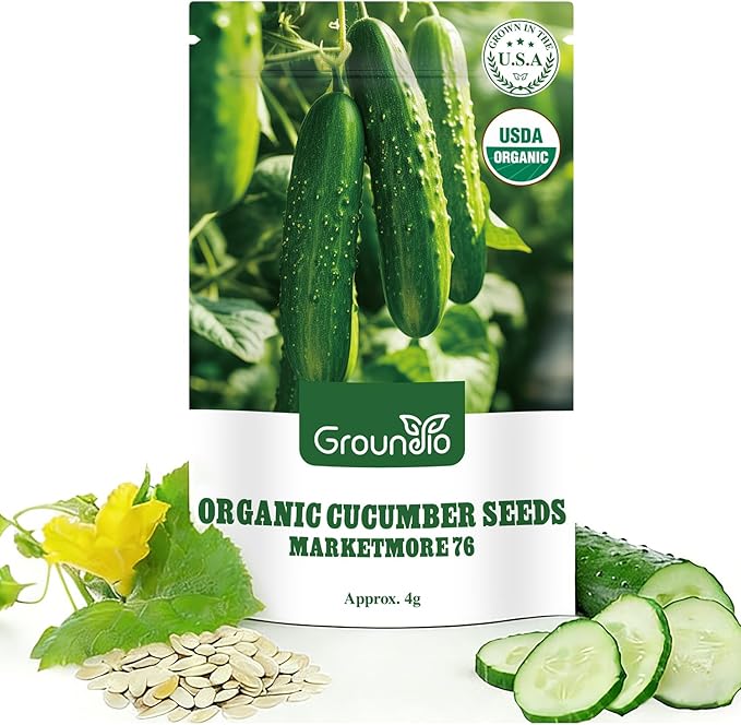 Organic Cucumber Seeds-Marketmore 76, Approx 250 Seeds for Planting Indoor & Outdoor | Non-GMO, USDA Organic, USA Origin Vegetable Seeds for Home Garden (Cucumis sativus L.)
