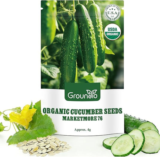 Organic Cucumber Seeds-Marketmore 76, Approx 250 Seeds for Planting Indoor & Outdoor | Non-GMO, USDA Organic, USA Origin Vegetable Seeds for Home Garden (Cucumis sativus L.)