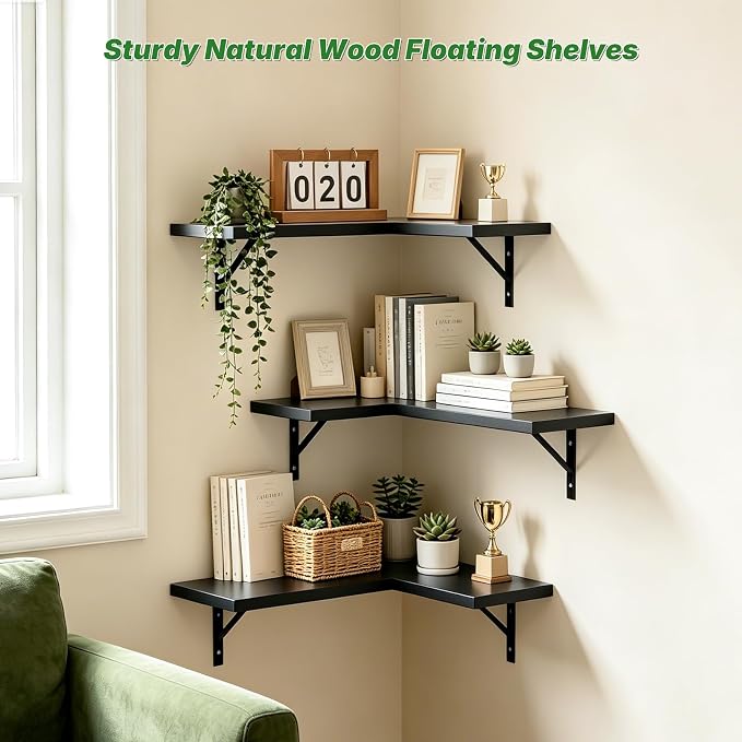 NATURE'S SOURCE Corner Floating Shelves Wall Mounted, Black, Set of 3