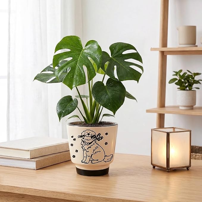 STHIE 5 inch Ceramic Plant Pot, Round Planters for Indoor Plants with Drainage Hole, Ice Crack Decorative Flower Pot, Cute Planters for Snake Plant (Flower Dog)