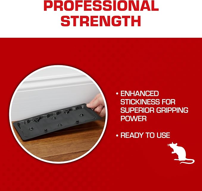 Tomcat Rat Trap with Immediate Grip Glue for Rats, Mice, Snakes, Cockroaches, Spiders, and Scorpions, Ready-To-Use, 2 Traps