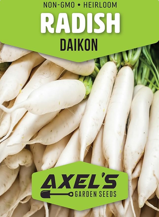Japanese Daikon Radish Seeds for Planting - 100 Heirloom Non GMO Seeds - Full Planting Instructions to Plant & Grow a Home Vegetable Garden - Great Gardening Gift, 1 Packet