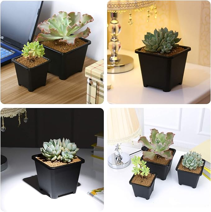 4 Inch Plastic Plant Pots Square Nursery Pot 25 PCS Sturdy & Reusable Starter Container for Starting Seedlings, Succulents,Cuttings & Transplanting with Drainage Holes, Black