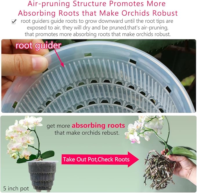 5 inch Clear Orchid Pots with Holes and Saucers for Repotting,Pack of 4,Small Plastic Orchid Planters Provide Good Air Circulation,Nursery Pots for Succulents,Herbs,Aloes,Mint