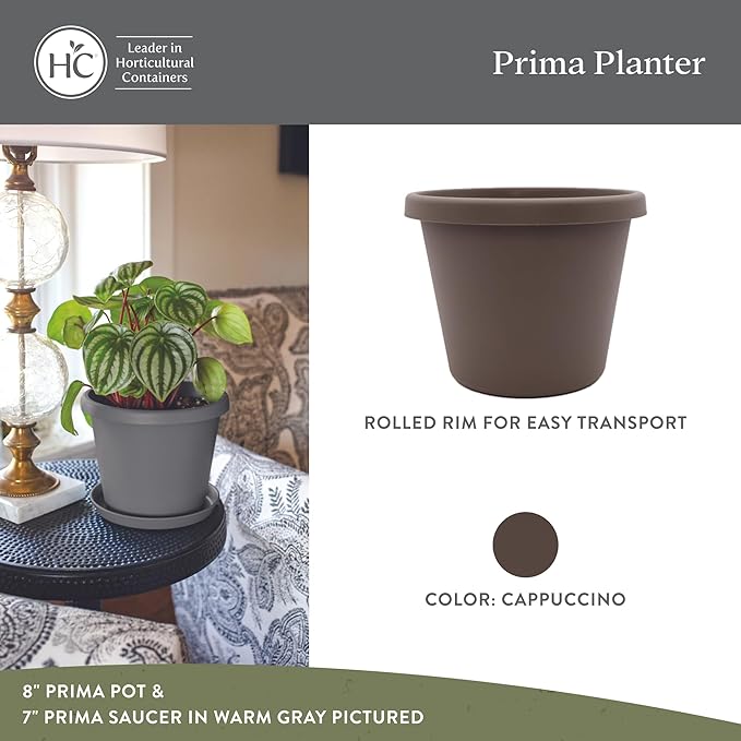 The HC Companies Prima Round Plastic Plant Pot w/Rolled Rim - Lightweight & UV Resistant Flower Pot for Herbs & More - Outdoor & Indoor Plant Pots w/Drainage (6 inch, Cappuccino, Pack of 1)