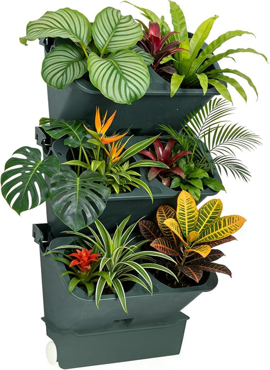 3-Tiers Vertical Wall-Mounted Planter with 6 Pots Vertical Garden Living Wall Planter Indoor Self-Watering Soil-Water Separation Stackable Plastic Planter for Herb Vegetable Flower Succulent (Green)