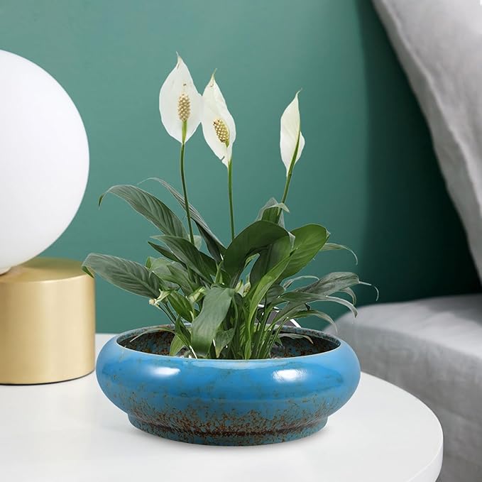 GANAZONO Large Garden Bowl Planter Water Plant Pot Water Lily Pots Hydroponic Planter Bonsai Pots Garden Decorative Cactus Stand Flower Container Daffodil Pot Bowl (Random Color)