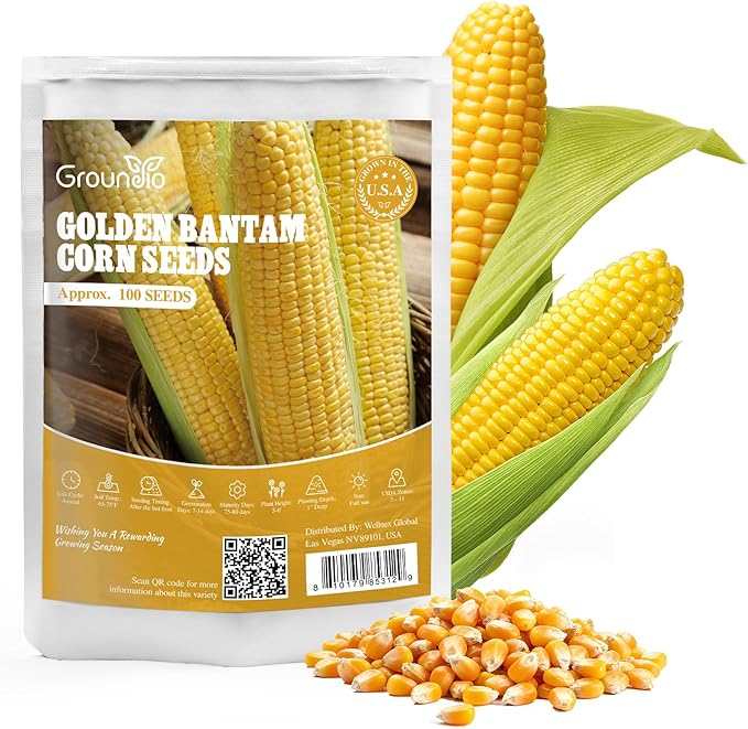 Golden Bantam Corn Seeds, 100 Non-GMO Heirloom Vegetable Seeds, High Germination Sweet Corn Seed for Outdoor Home Garden (Zea mays)