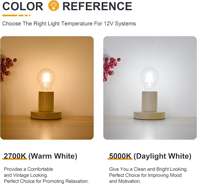12V LED Light Bulbs - Daylight 5000K 6W(Only for 12 Volt DC/AC) - E26 Standard Base - 60W Equivalent Dimmable A19 Low Voltage LED Bulb for RV Camper Marine, 2 Pack