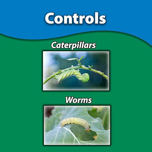 Monterey B.t. Bundled with Measuring Spoon - Caterpillar & Worm Killer Organic Gardening - Apply with Sprayer - 8 oz