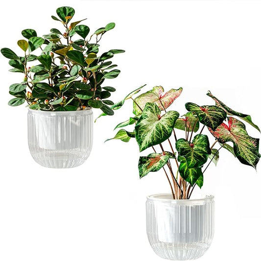 Melphoe Self Watering Pots for Indoor Plants Planter, 6.5 Inch 2 Pack Planters Self Watering Plant Pots for Flower, Houseplants, Succulent, African Violets and Cactus with Drainage