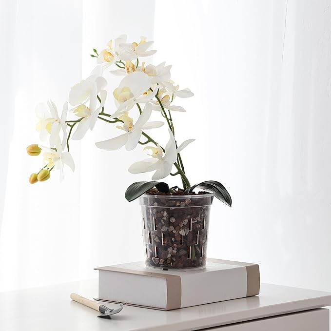 TRUEDAYS Orchid Pot – 4 Pack 6 Inch Clear Orchid Pots with Drainage Holes for Repotting – Ideal for Healthy Root Growth – Sturdy Plastic Plant Pot for Indoor & Outdoor Plants