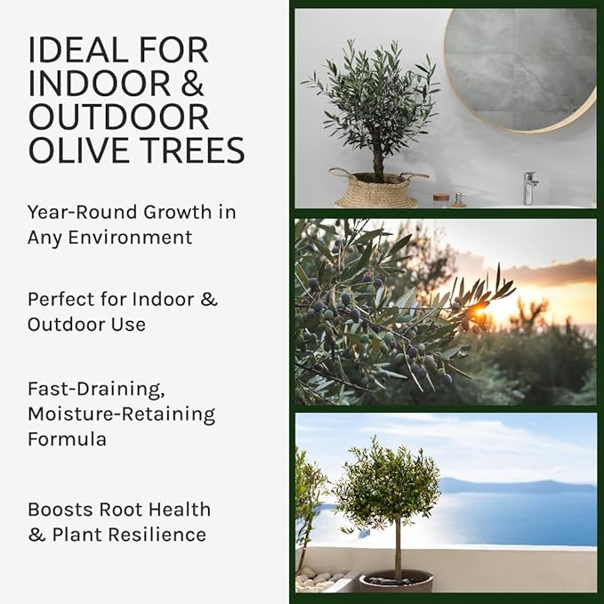 GARDENWISE Organic Olive Tree Potting Mix – Fast-Draining, Nutrient-Rich Soil for Indoor & Outdoor Olive Trees – Mediterranean Plant Care – Long-Lasting Formula (1 Quart)