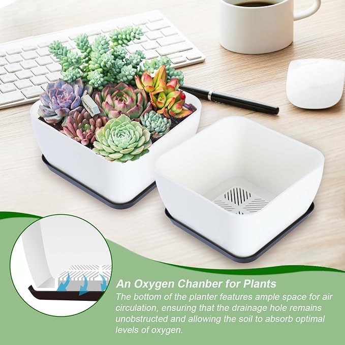 Oliz Succulent Pots 6 Inch Shallow Herb Planters with Drainage Hole - 4 Packs Cactus Planter for Home Office Garden Plants Pot Present - Plants Not Included (Off White)