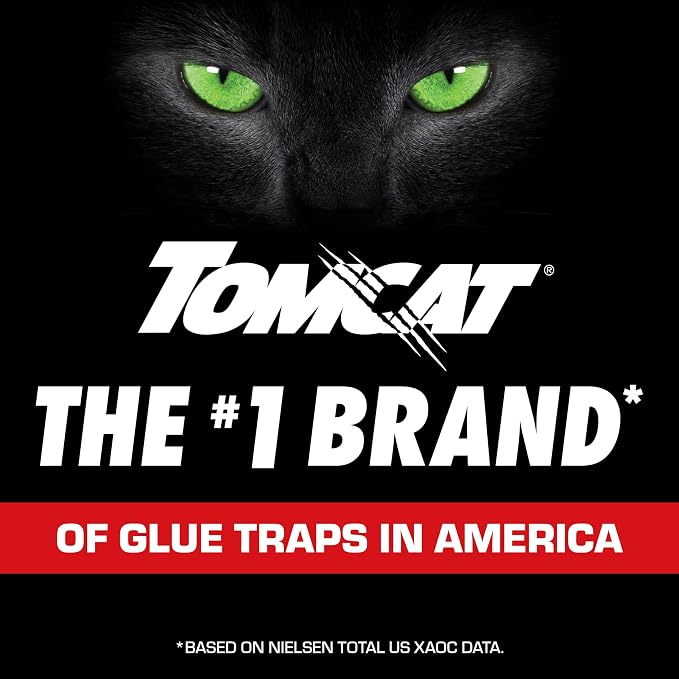 Tomcat Super Hold Glue Traps Mouse Size, 4 Traps | For Mice, Cockroaches, Spiders, and Scorpions, Ready-To-Use
