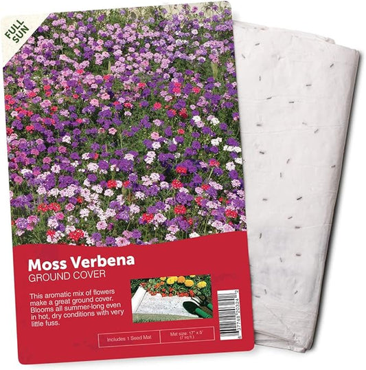 BloomingBulb Seed Mat - Easy to Plant and Grow Garden Seeds - Creates Fragrant, Vibrant Flower Garden (Mixed Verbena Groundcover)