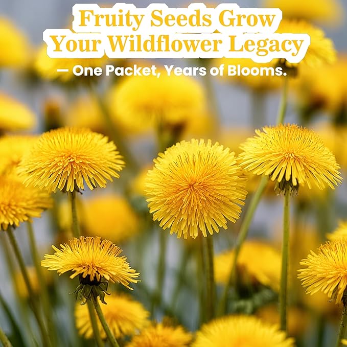 Dandelion Seeds (0.18oz - 5000+ Seeds) - Heirloom Taraxacum officinale - Non-GMO Edible Herb for Planting - Medicinal Roots, Leaves & Flowers - Pollinator-Friendly Perennial for Garden