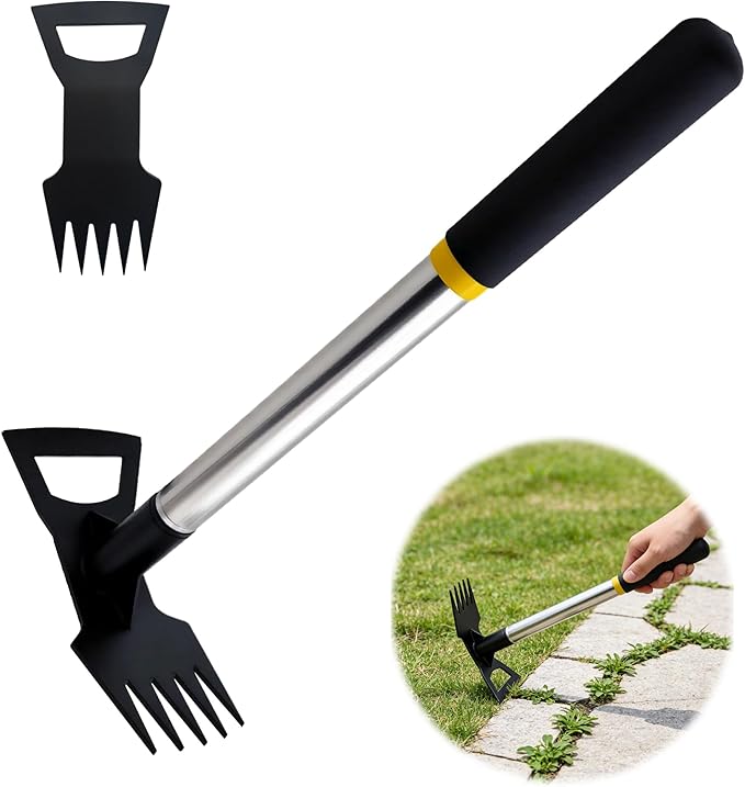 2 in 1 Weed Tool, 15.7" Short Handle Weed Rake with 5-Tine Head, Small Garden Hoe for Weeding in Flower Beds, Courtyards & Narrow Gaps
