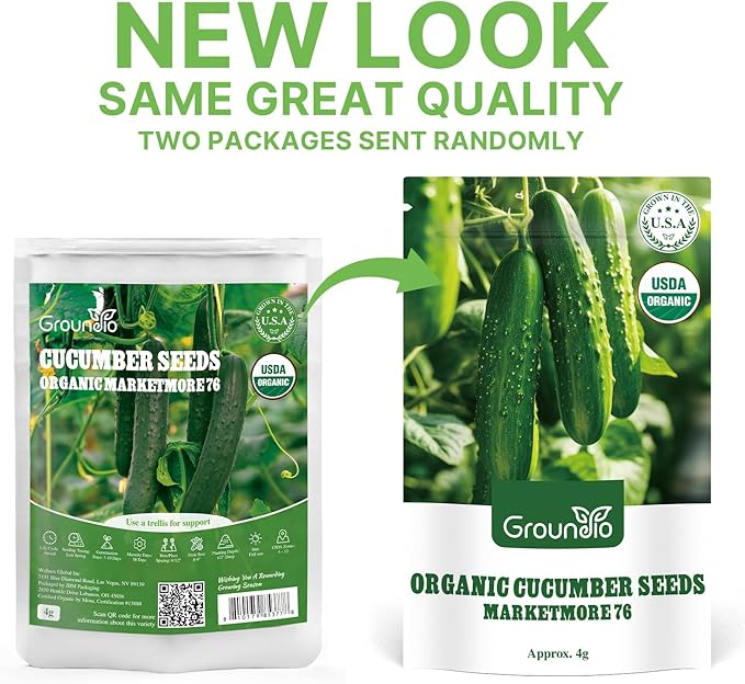 Organic Cucumber Seeds-Marketmore 76, Approx 250 Seeds for Planting Indoor & Outdoor | Non-GMO, USDA Organic, USA Origin Vegetable Seeds for Home Garden (Cucumis sativus L.)