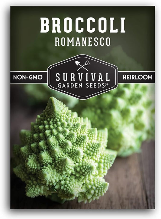Romanesco Broccoli Seeds for Planting - Exotic Italian Heirloom Vegetable with Unique Spiral Heads - High Yield, Cool Weather Crop - Non-GMO, Open-Pollinated - Survival Garden Seeds (1 Pack)