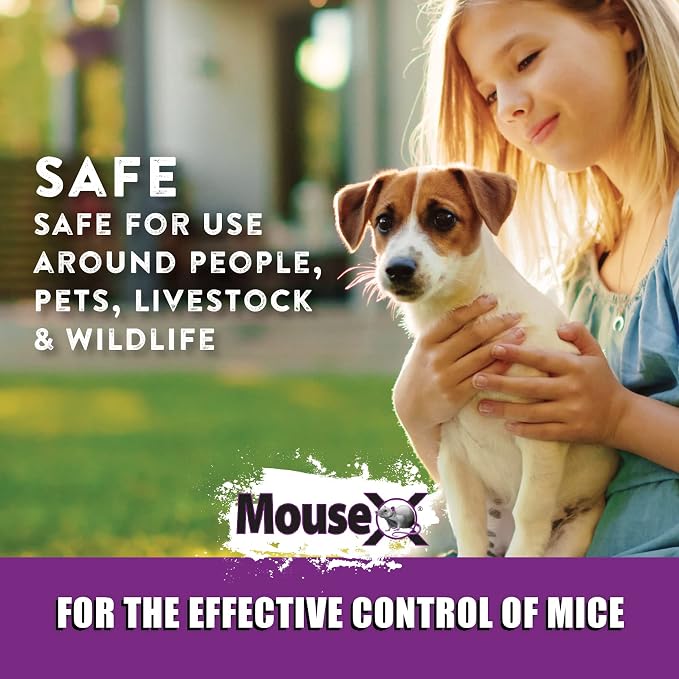 MouseX Rodent Control Bait Trays for Rats & Mice – Poison Free, Pet Safe | Indoor & Outdoor Use Pellets |3 oz Trays - 4 Pack