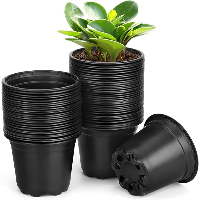 60 Pack 3 Inch Nursery Pots for Plants, Plastic Seeds Starter Pots with Drainage Holes, Small Plastic Plant Nursery Pots for Succulents Seedling Cutting Transplanting (60, 3 Inch)