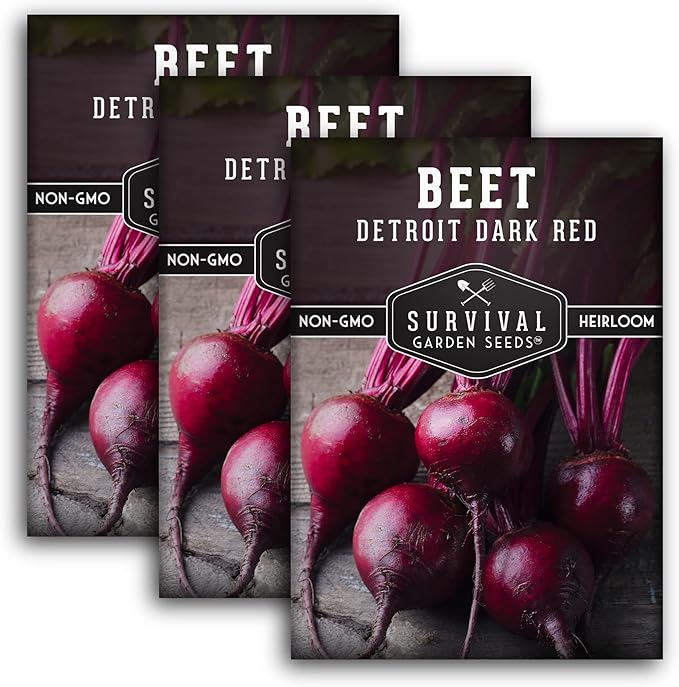 Detroit Dark Red Beet Seeds for Planting - Classic Red Beets for Garden Growing Outdoors, High Yield Heirloom Beetroot, Non-GMO Open Pollinated - Survival Garden Seeds (3 Pack)
