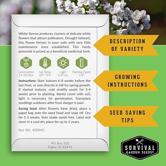 Yarrow Seeds for Planting - White Common Heirloom Medicinal Herb Seeds for Dye & Pollinator Gardens, Easy to Grow Perennial Flowers - Survival Garden Seeds (1 Pack)