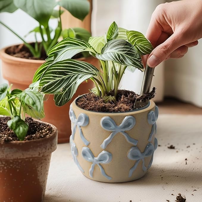 Ceramic Flower Pots for Indoor and Outdoor Plants, Succulent Orchid Round Clay and Terracotta Planter for Garden Home Modern Decoration 5.3 Inch (Blue Bow, Without Saucers)