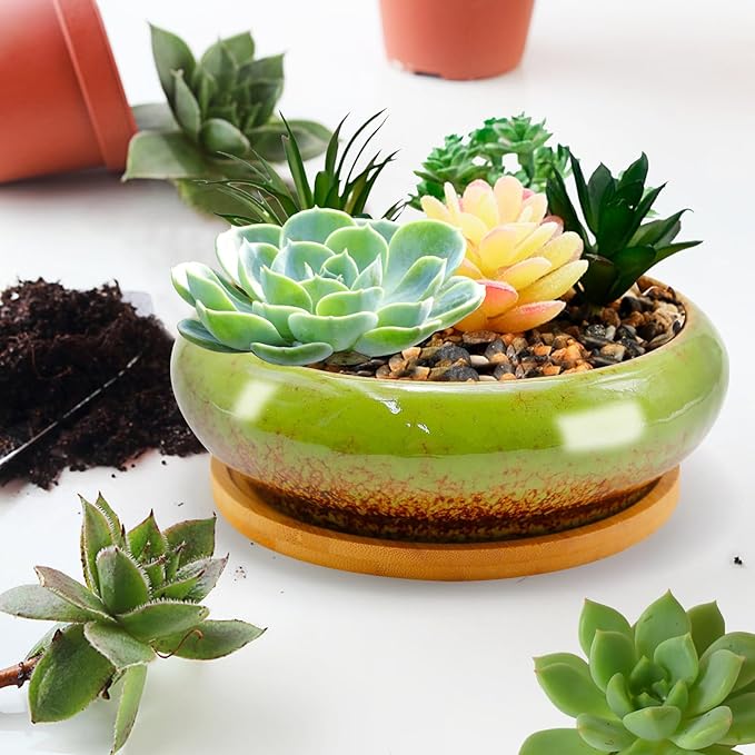 7.4 inch Ceramic Bonsai Pots with Trays Shallow Planters, Succulent Planters with Drainage Hole, Round Large Shallow Pots, Bonsai Pots Garden Decorative Cactus Stand Flower Container (Green)