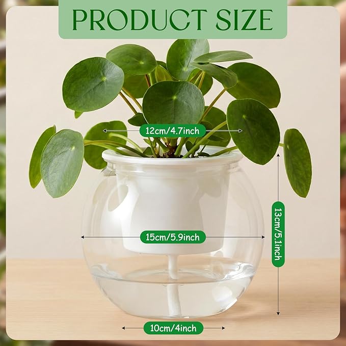 4 Pcs Self Watering Pots for Indoor Plants with Drainage Holes 6 Inch Clear African Violet Pots Pet Automatic-Watering Planter with Wick Rope for Windowsill Gardens Herb Orchid