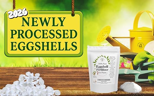 U.S.A. Eggshell Fertilizer Powder, 4 Ounce, for Tomato Plants, Orchids, Calcium Magnesium Phosphorus Powder for Indoor and Outdoor Flowers and Plants