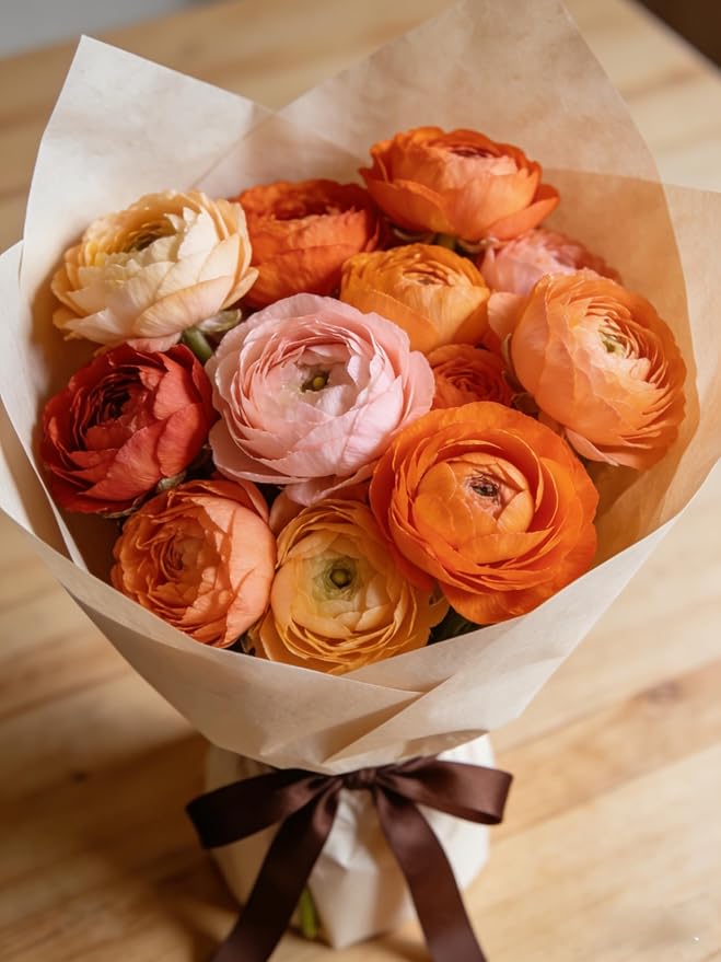 6 Mixed Color Ranunculus Bulbs for Planting, Assorted Pastel Double Buttercups, Spring or Fall Planting Bulbs for Vibrant Garden Blooms, Borders & Cut Flower Garden, Rose Bulb Wedding Flower Bulbs