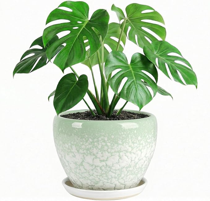 10.2 Inch Ceramic Planter with Saucer Leak-Proof Mesh &Drainage, Round Plant Pot with Gardening Gloves for Indoor Outdoor Plants (Jade Green)
