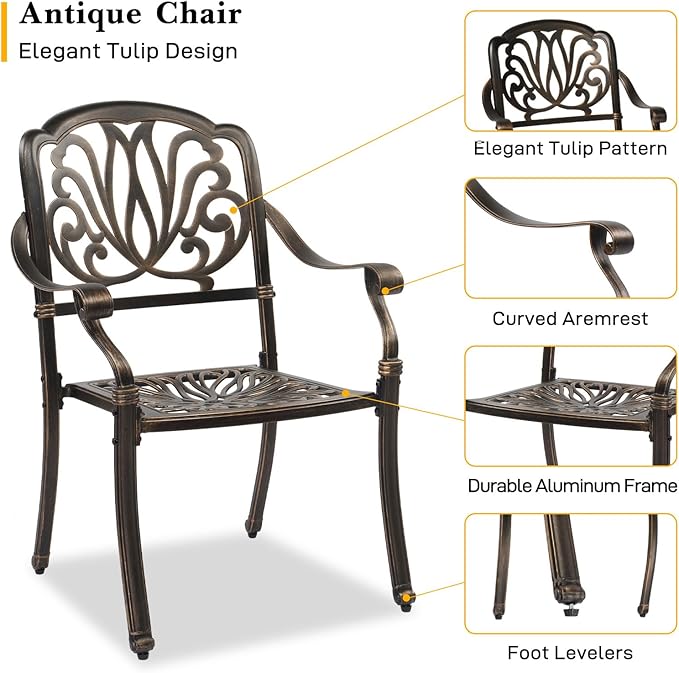 VINGLI Patio Chairs Set of 2, All-Weather Cast Aluminum Outdoor Dining Chairs, Metal Armchairs for Poolside, Backyard, Balcony (2, Elizabeth Back Without Cushion)