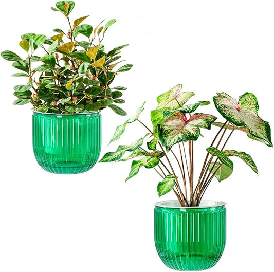Melphoe Self Watering Pots for Indoor Plants Planter, 6.5 Inch 2 Pack Planters Self Watering Plant Pots for Flower, Houseplants, Succulent, African Violets and Cactus with Drainage
