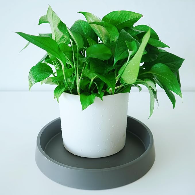 Plant Saucer Tray for Ceramic Plastic Pots, 10 inch Plant Saucers for Indoors, Pot Saucers Trays, Bird Bath Bowls, Flower Planter Water Drip Trays for Pots Base (10", Gray)